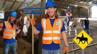 Horses for kids | Working on a Horse Farm | Learn about Horses