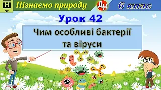 Урок 42. Чим особливі бактерії та віруси