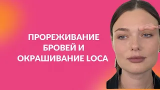 Прореживание бровей и окрашивание красителем Loca