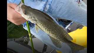 Rocky Fork Crappie Fishing Tournament