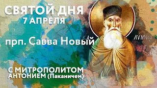 Святой дня. 7 апреля. Преподобный Савва Новый.