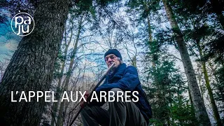 Les liens mystérieux qui unissent l’arbre et l’homme vus par un chercheur atypique