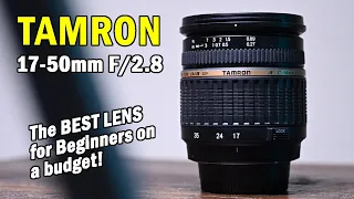 Tamron 17-50 F/2.8  -  Why it's the BEST Lens for Beginners on a budget