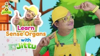 Five Sense Organs | Learn with Jittu #senseorgans