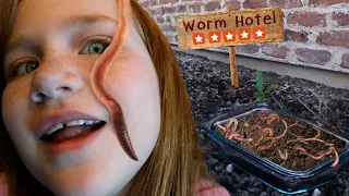 Welcome to our WORM HOTEL!! Adley Finds the Longest Worms, Niko Cooks with Dad & Fun Family Crafts