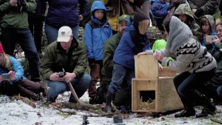 Fishers Reintroduced at Mount Rainier National Park