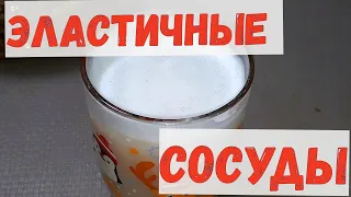 ОЧИСТИЛИСЬ печень и сосуды, ЧИСТЫЙ кишечник, ЗАПОРА НЕТ.