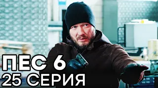 Сериал ПЕС 6 - 6 сезон - 25 серия - ВСЕ СЕРИИ смотреть онлайн | СЕРИАЛЫ ICTV