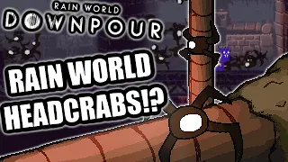 This NEW CREATURE Is So ADORABLE! 🦀 | Rain World Downpour