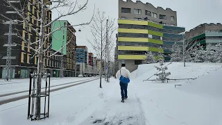 Spring Never Arrives in Finland! Heavy Snowfall in April in Helsinki❄️🪄🌨️⛄️(23 April 2024)