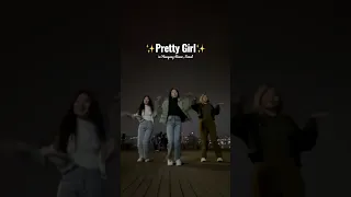 Pretty Girl Kara Public Dance Challenge in Hangang River Seoul ✨