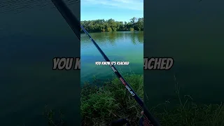 How to Fish a Texas Rig Pt. 1