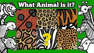 Can You Identify These Animals By Their Patterns? | Learn About Wild Animal's Unique Body Patterns