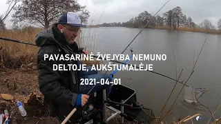 Pavasarinė žvejyba Nemuno deltoje (Aukštumalė) 2021-04-01