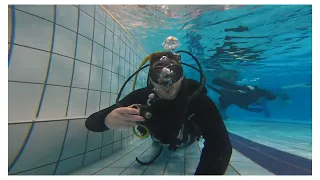 Ćwiczenia i zabawa na basenie | Kurs nurkowania