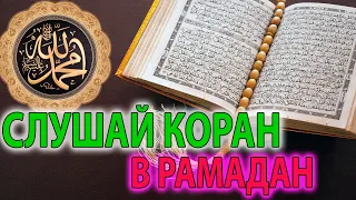 Коран в РАМАДАН - cлушайте Избранные суры - аль Фатиха, аятуль Курси, Ясин, Рахман, Мульк, Ихлас