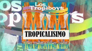 🎶LOS TROPIBOYS MIX🎶 TROPICALISIMOS