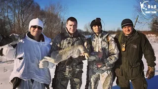 Удачное закрытие сезона охоты на зайца. Охота на зайца 2019. Hunting for a hare