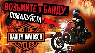 Обзор первосезонника Harley-Davidson 883 Shprotster | Утробный холодильник