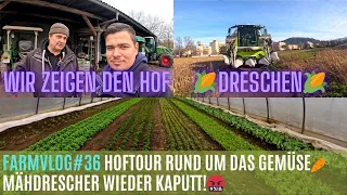 FarmVlog#36 Hoftour rund um das Gemüse🥦🥕Mähdrescher wieder kaputt🤬