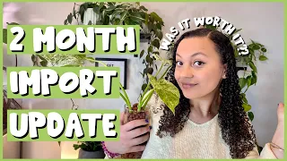 GREENSPACES IMPORT 2 Month Update | Was It Worth It??