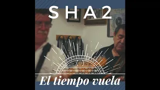 SHA2 - Time is tight (Booker T. & The MG's Cover)