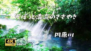 【自然の音/4K映像】円原川、光芒と清流の囁き | Japan in 4K