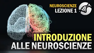 Introduzione alle Neuroscienze | NEUROSCIENZE - Lezione 1