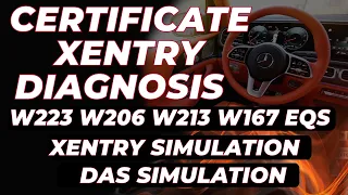 Detailed information! Xentry Diagnosis for W223, W206, W213, W167 Xentry Simulation / Das Simulation