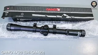 Оптический прицел Gamo 4x20 (BH-GM420) видео обзор