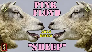 PINK FLOYD: SHEEP (2022 RE-MIX)