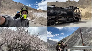 Apricot blossom in ladakh | STANZIN NUBU | VLOG |