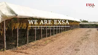 Meet The Grower in Italy | EXSA Europe