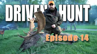 DRIVEN HUNT EP. 14 - Fallow deer, Moose & Roe deer at Christineholm in Sweden