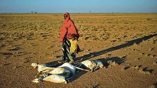 Climate Change-Induced Droughts in Africa Spawn Food Shortages, Mass Child Malnutrition