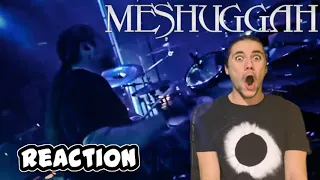 Metalhead REACTS to BLEED Wincent Drumsticks by MESHUGGAH