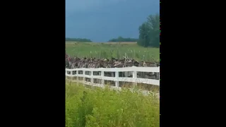 The 15th Alabama Marches toward Gettysburg, June 2019