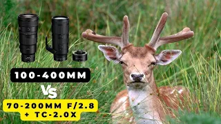 Nikon Z 100-400mm vs 70-200mm f/2.8 with a TELECONVERTER? THE FIELD TEST