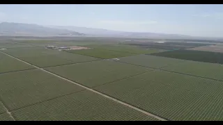 Agrokasa fundo La Catalina tomas con drone