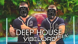 Avicii, Calvin Harris, Kygo, Alok, Chainsmokers- Summer Vibes Deep House Mix | VibeLord