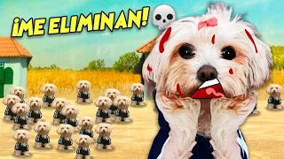 Perrita DASHA en PELIGRO en el JUEGO del CALAMAR de la vida real / Vídeos de Perritos