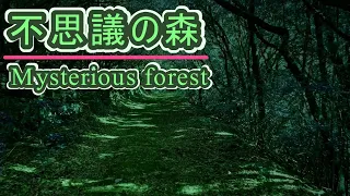 😴本当によく眠れる😴【睡眠音楽・即効性あり】心身の緊張が緩和、ホルモンバランス整う、自律神経が回復、ストレス解消、深い眠り【睡眠用bgm・リラックス 音楽・眠れる音楽・癒し 音楽】 作業用 勉強中