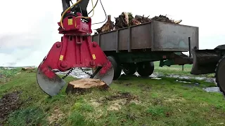 Dangerous Powerful Stump Removal Excavator Working, Fastest Stump Removal Grinding Machines