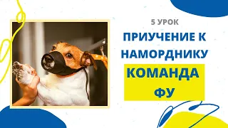 Как приучить собаку к наморднику? Как научить команде "Фу", "Нельзя"? (Урок 5)