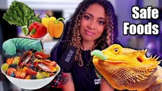 Safe Food Guide For Bearded Dragons | Vegetables, Fruits, and Bugs
