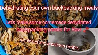 Backpacking meals: Let's make some homemade dehydrated backpacking meals for Ravi 🐾