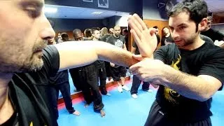 Goodies#26 : Cours de Wing Chun Kung Fu avec Greg Gothelf (Fushan Kwoon - Partie 1)