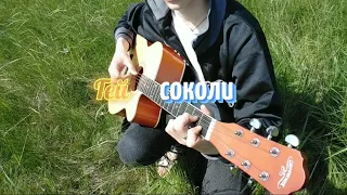 Гей соколи на природі на гітарі ( Легка версія)