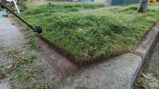 She asked for help. What would you do? Satisfying lawn mowing