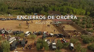 Encierros de las Fiestas de Orcera 2022